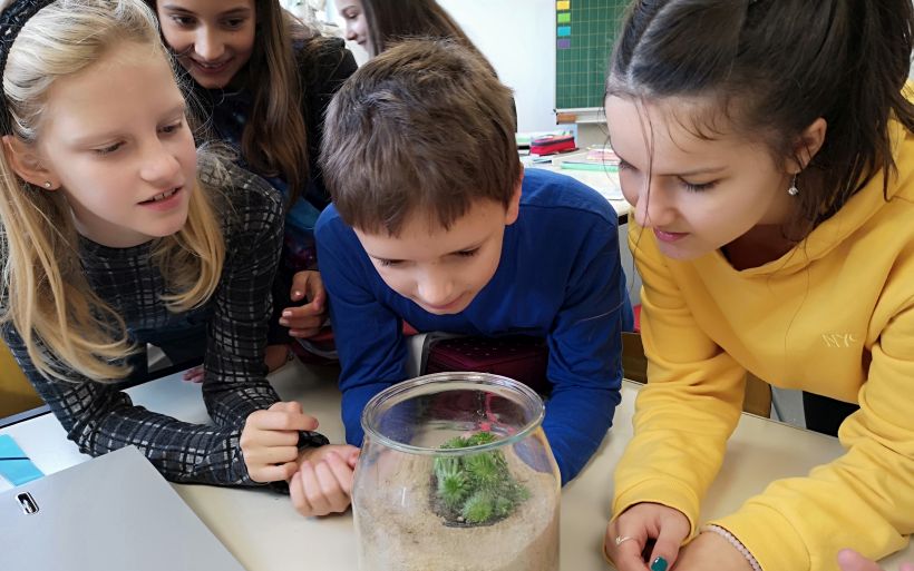 Vier Schulkinder betrachten einen grünen Kaktus in einem Glas.